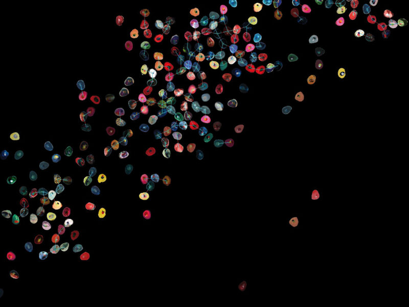 “Arts sciences et société, regards multiples” le 14 mars au Centre Wallonie Bruxelles