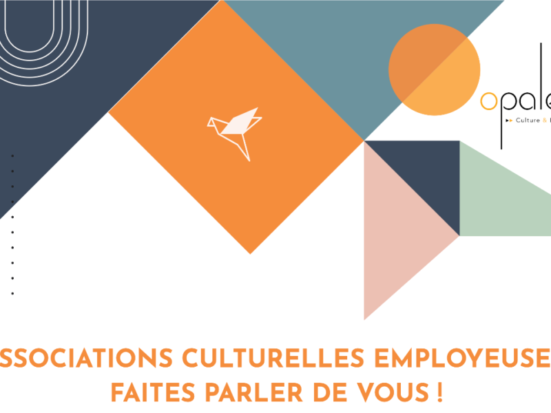 Enquête nationale auprès des associations culturelles employeuses