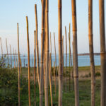 Exposition De la nature | Escale #5  | Aber Wrac'h