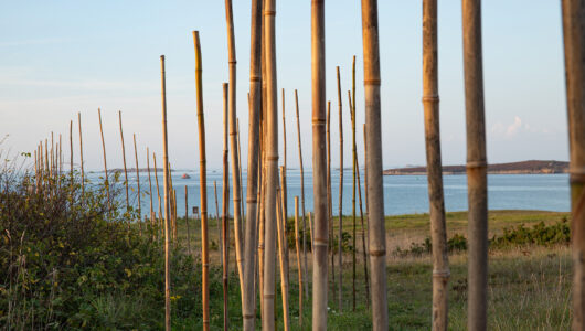Exposition De la nature | Escale #5  | Aber Wrac’h