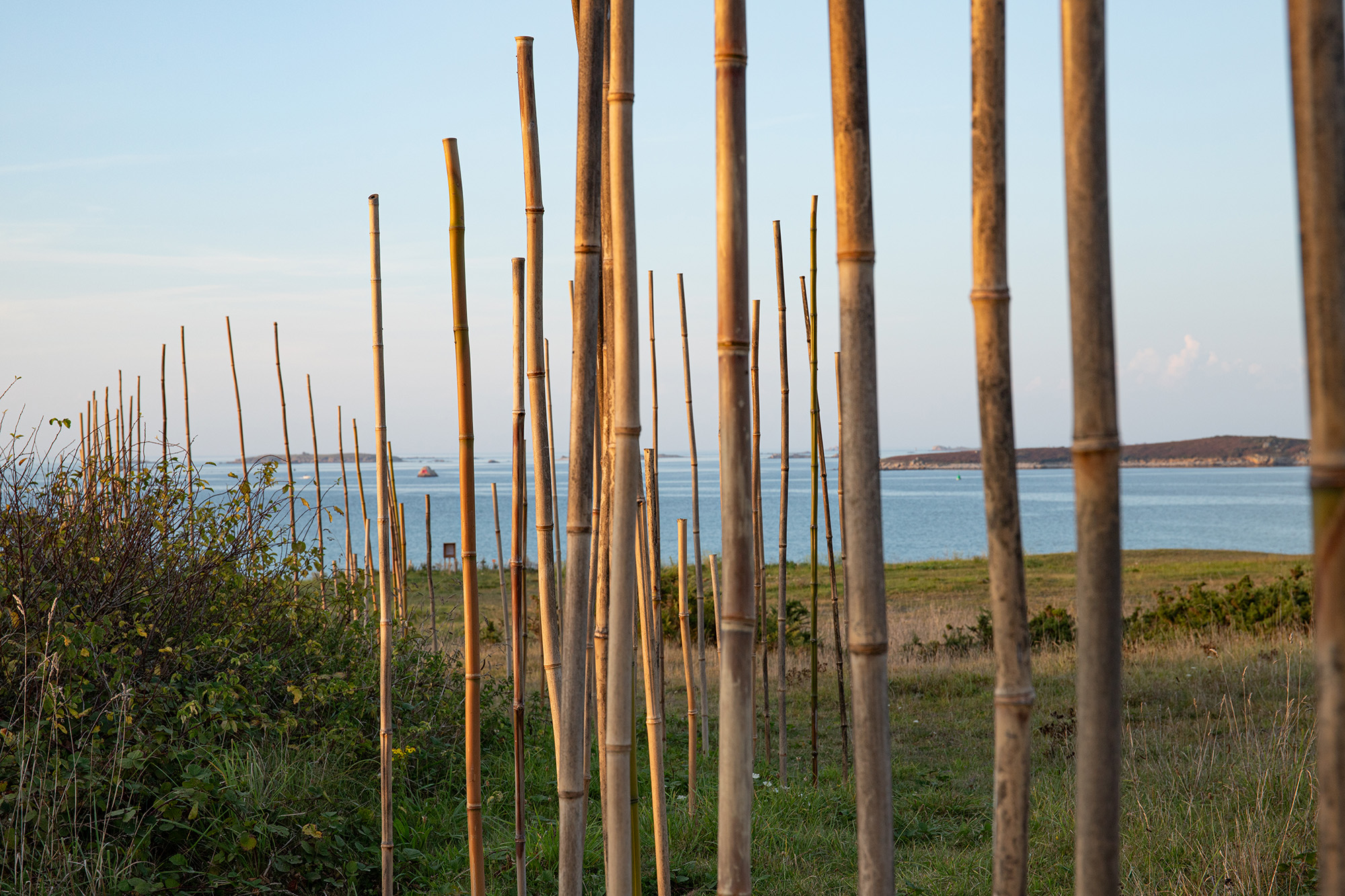 Exposition De la nature | Escale #5  | Aber Wrac’h