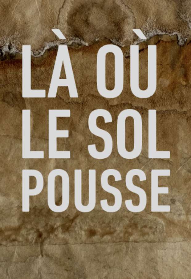 Exposition collective “Là où le sol pousse” | Anaïs Tondeur (SIANA) | La Fondation Cartier | Paris Exposition collective “Là où le sol pousse” | Anaïs Tondeur (SIANA) | La Fondation Cartier | Paris