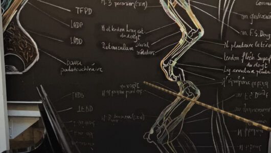 Colloque HUMANIMAL 2.0, Une seule santé, quand les Arts rencontrent les Sciences | Campus Maison Alfort